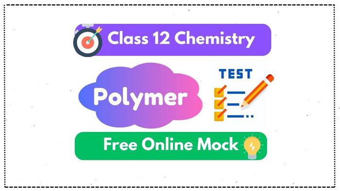 Polymer Online Mock Test Class 12 Chemistry