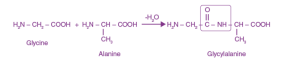 linkage in glycylalanine